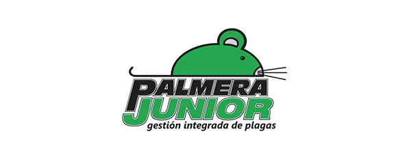 palmera-junior__597x243